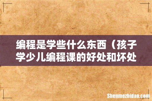孩子学少儿编程课的好处和坏处 编程是学些什么东西
