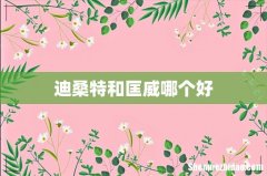 迪桑特和匡威哪个好