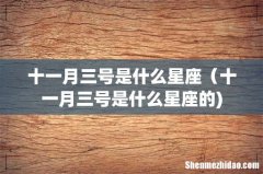 十一月三号是什么星座（十一月三号是什么星座的)