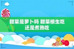 甜菜是萝卜吗 甜菜根生吃还是煮熟吃