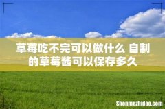 草莓吃不完可以做什么 自制的草莓酱可以保存多久