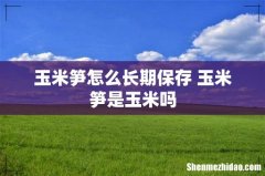 玉米笋怎么长期保存 玉米笋是玉米吗