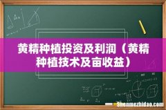 黄精种植技术及亩收益 黄精种植投资及利润
