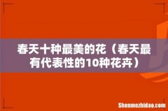 春天最有代表性的10种花卉 春天十种最美的花