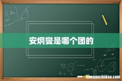 安炯燮是哪个团的