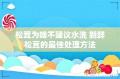 松茸为啥不建议水洗 新鲜松茸的最佳处理方法