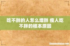 吃不胖的人怎么增胖 瘦人吃不胖的根本原因