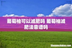 葡萄柚可以减肥吗 葡萄柚减肥法靠谱吗