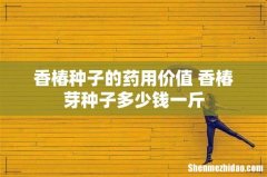 香椿种子的药用价值 香椿芽种子多少钱一斤