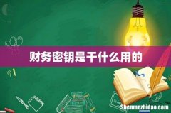 财务密钥是干什么用的