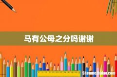 马有公母之分吗谢谢