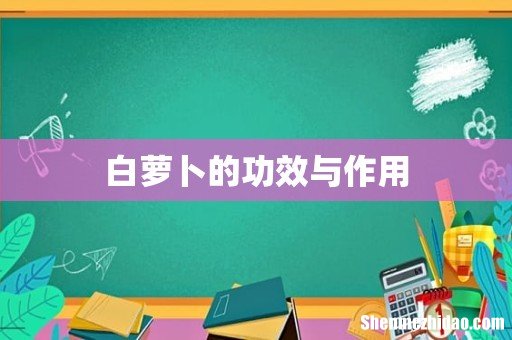 白萝卜的功效与作用