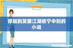 穿越到笑傲江湖收宁中则的小说