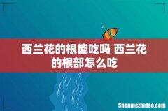 西兰花的根能吃吗 西兰花的根部怎么吃