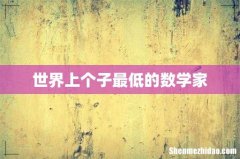世界上个子最低的数学家