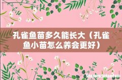 孔雀鱼小苗怎么养会更好 孔雀鱼苗多久能长大