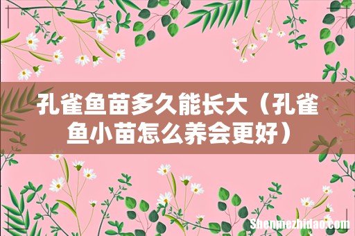 孔雀鱼小苗怎么养会更好 孔雀鱼苗多久能长大