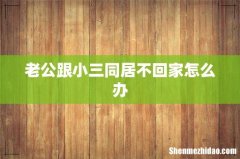 老公跟小三同居不回家怎么办