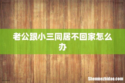 老公跟小三同居不回家怎么办