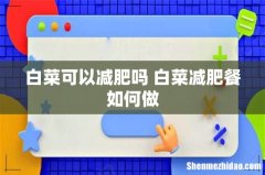 白菜可以减肥吗 白菜减肥餐如何做