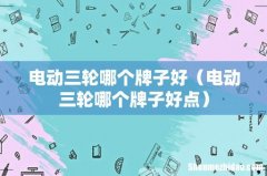 电动三轮哪个牌子好点 电动三轮哪个牌子好