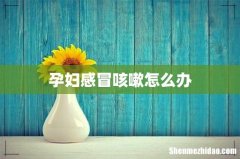 孕妇感冒咳嗽怎么办
