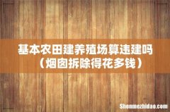烟囱拆除得花多钱 基本农田建养殖场算违建吗