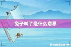 兔子叫了是什么意思