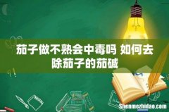 茄子做不熟会中毒吗 如何去除茄子的茄碱