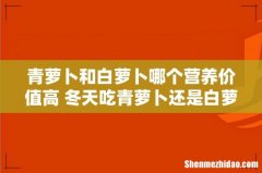 青萝卜和白萝卜哪个营养价值高 冬天吃青萝卜还是白萝卜好