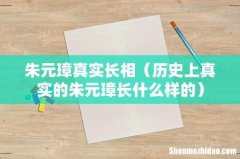 历史上真实的朱元璋长什么样的 朱元璋真实长相