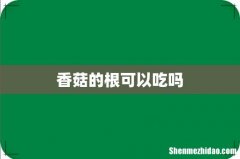 香菇的根可以吃吗