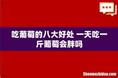 吃葡萄的八大好处 一天吃一斤葡萄会胖吗
