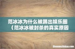 范冰冰被封杀的真实原因 范冰冰为什么被踢出娱乐圈