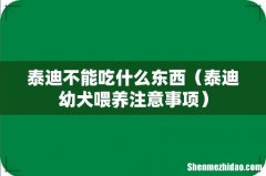 泰迪幼犬喂养注意事项 泰迪不能吃什么东西