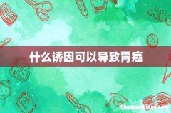 什么诱因可以导致胃癌
