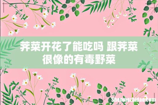 荠菜开花了能吃吗 跟荠菜很像的有毒野菜