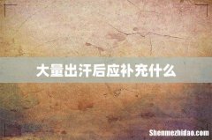 大量出汗后应补充什么