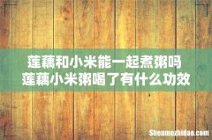 莲藕和小米能一起煮粥吗 莲藕小米粥喝了有什么功效