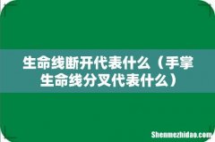 手掌生命线分叉代表什么 生命线断开代表什么
