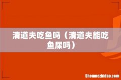 清道夫能吃鱼屎吗 清道夫吃鱼吗