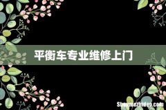 平衡车专业维修上门