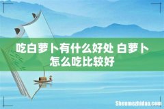 吃白萝卜有什么好处 白萝卜怎么吃比较好
