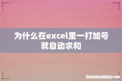 为什么在excel里一打加号就自动求和