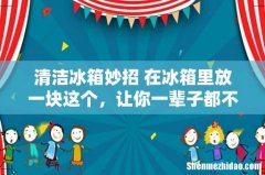 清洁冰箱妙招 在冰箱里放一块这个，让你一辈子都不用清洁冰箱！