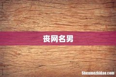 丧网名男