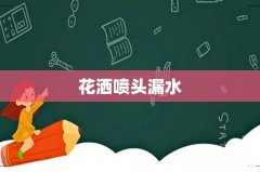 花洒喷头漏水