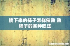 摘下来的柿子怎样催熟 熟柿子的各种吃法