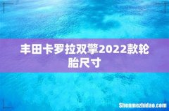 丰田卡罗拉双擎2022款轮胎尺寸
