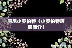 小罗伯特唐尼简介 唐尼小罗伯特